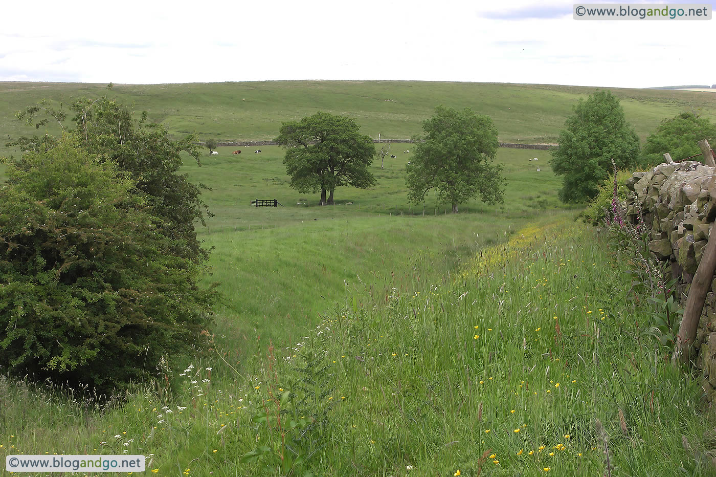 Hadrian's Wall Path - Front Ditch Looking East